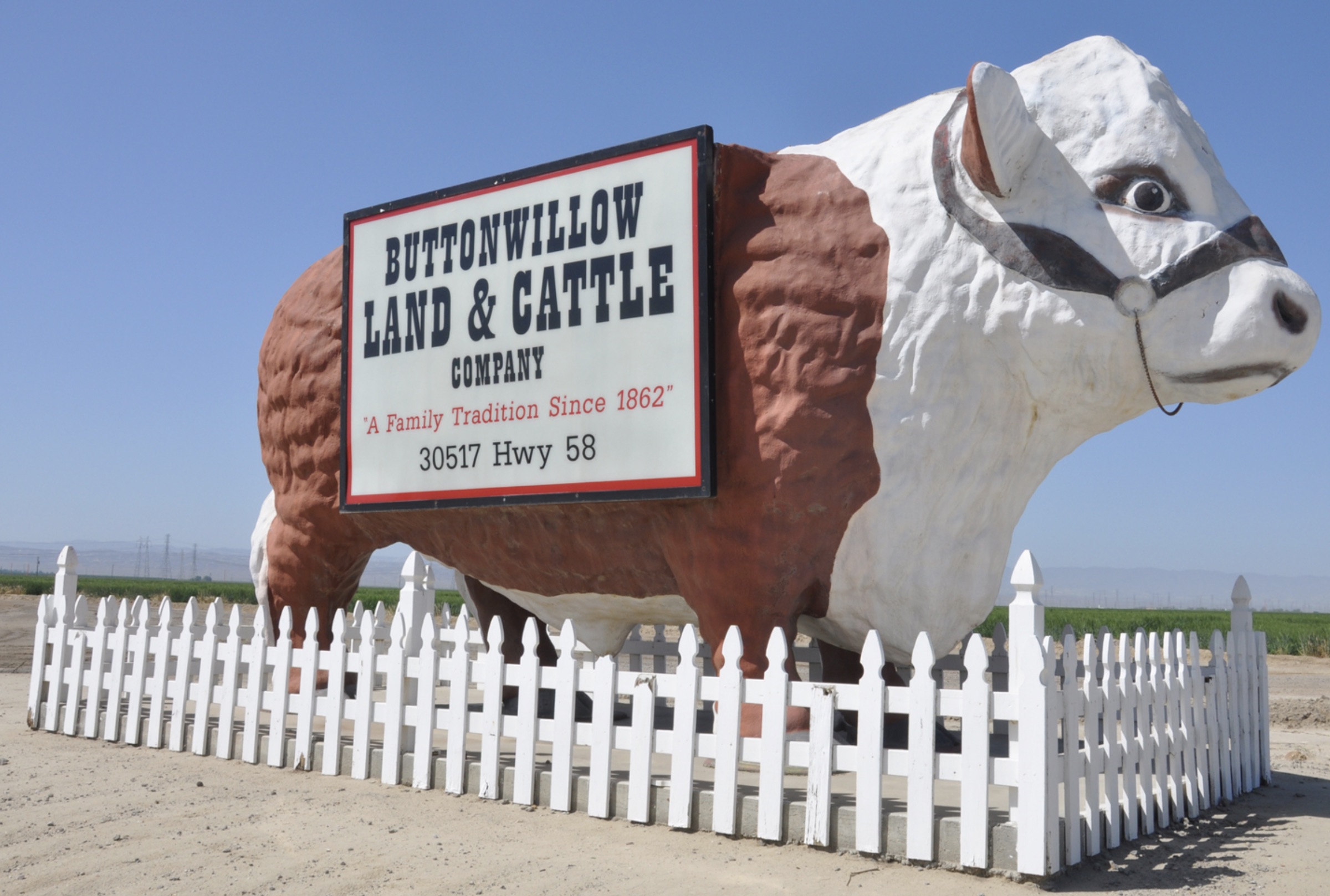 statue - Buttonwillow Land&Cattle Company A Family Tradition Since 1862 30517 Hwy 58